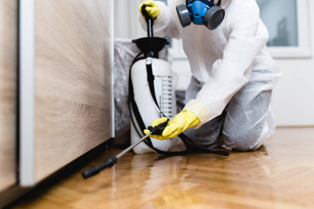 Best Cockroach Control Services  in Royal Pines, NC
