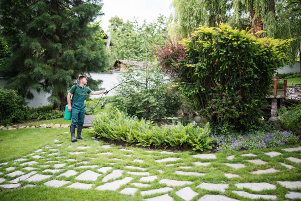 Best Affordable Pest Control Services  in Royal Pines, NC