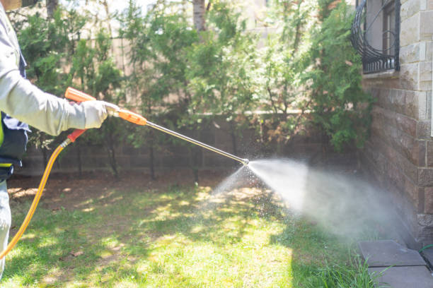 Best Local Pest Control Services  in Royal Pines, NC