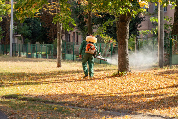 Best Best Pest Control Companies  in Royal Pines, NC